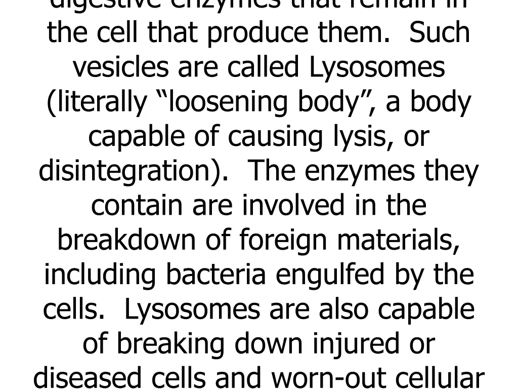digestive enzymes that remain in the cell that