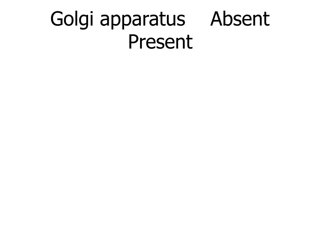 golgi apparatus
