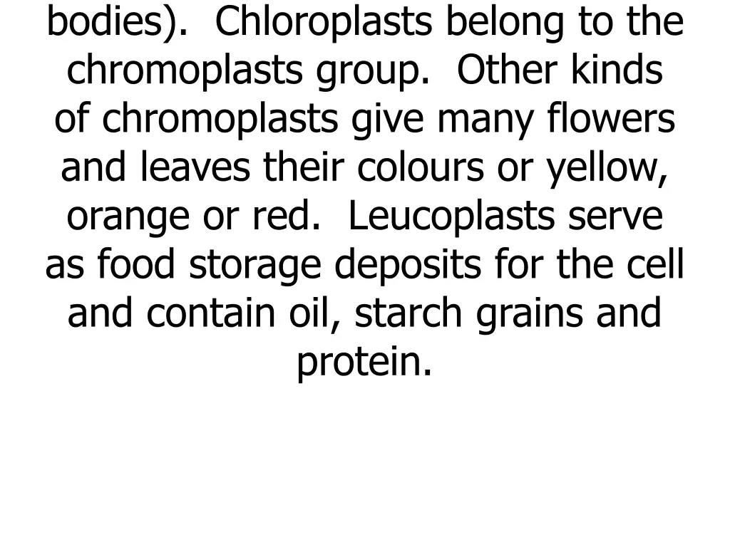 leucoplasts white or colourless bodies