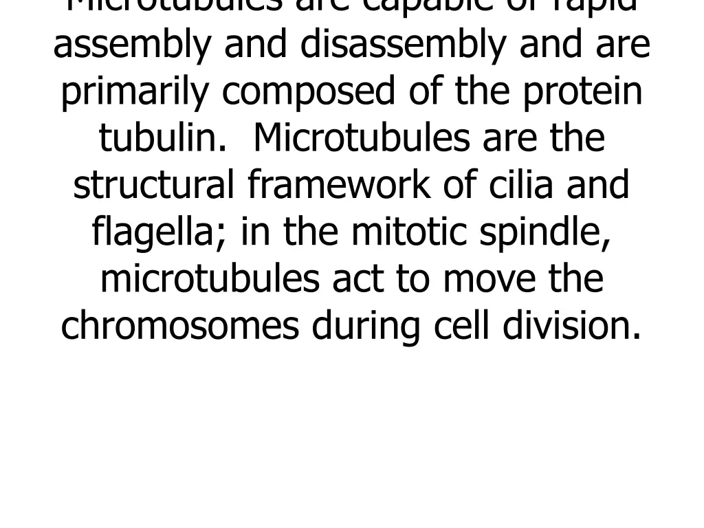 microtubules are capable of rapid assembly