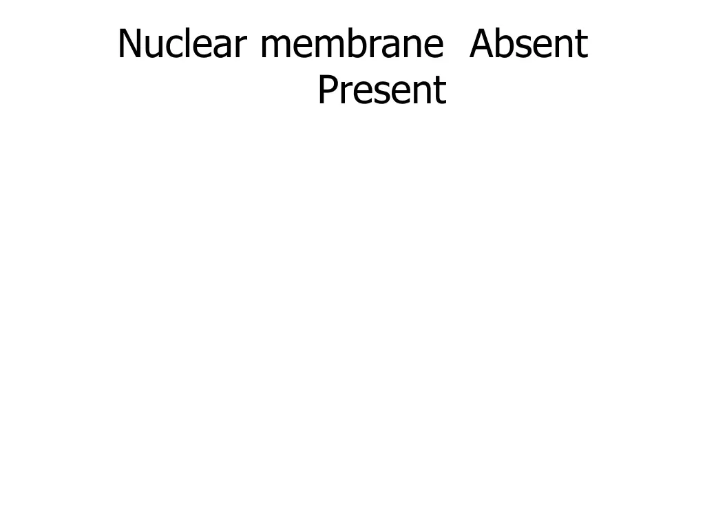 nuclear membrane absent present