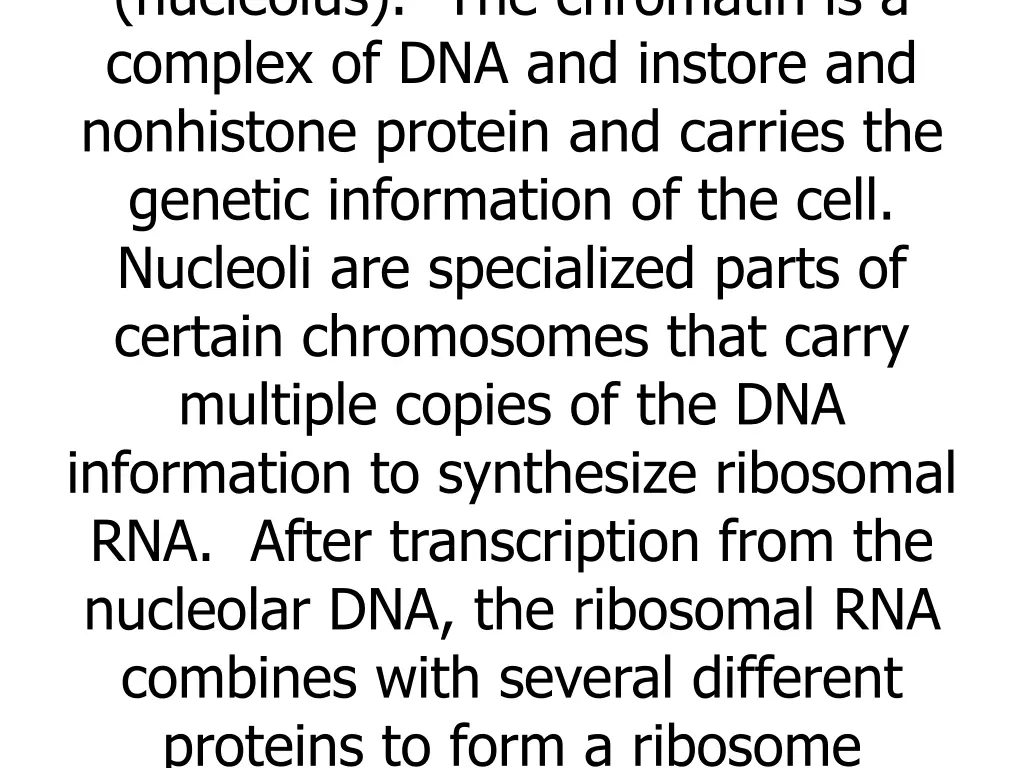 nucleolus the chromatin is a complex