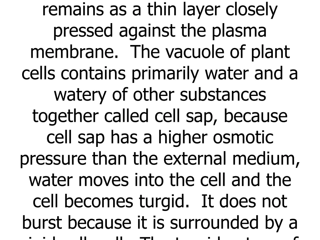 periphery of the cell and there it remains
