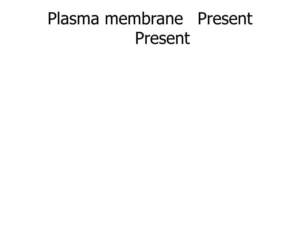 plasma membrane present present