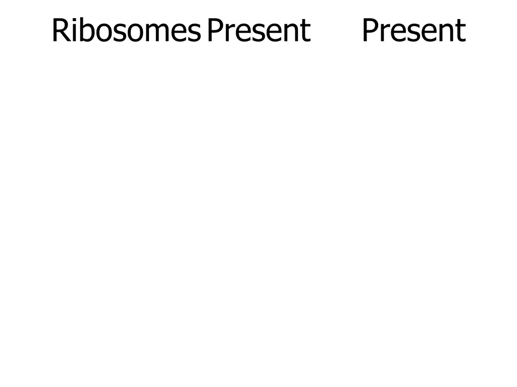 ribosomespresent