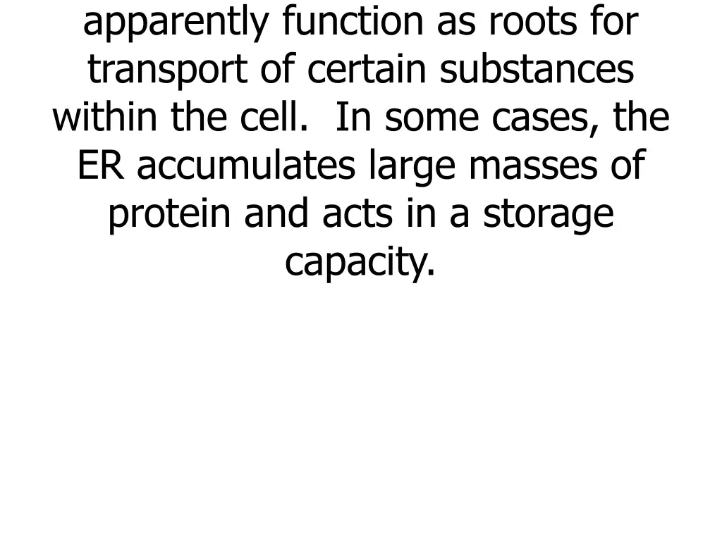 the cisternea of the e r apparently function