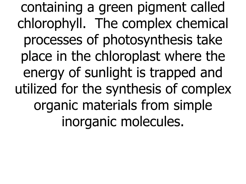 they are disc shaped bodies containing a green