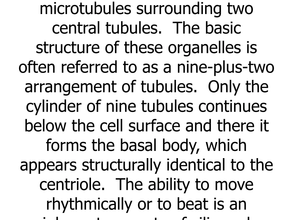 this is a ring of nine pairs of microtubules