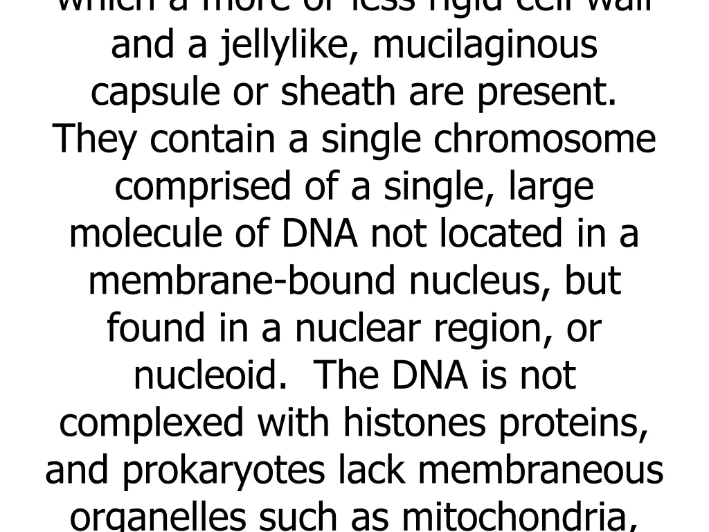 which a more or less rigid cell wall
