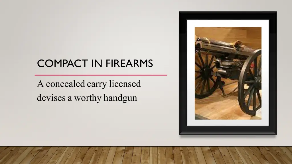 compact in firearms