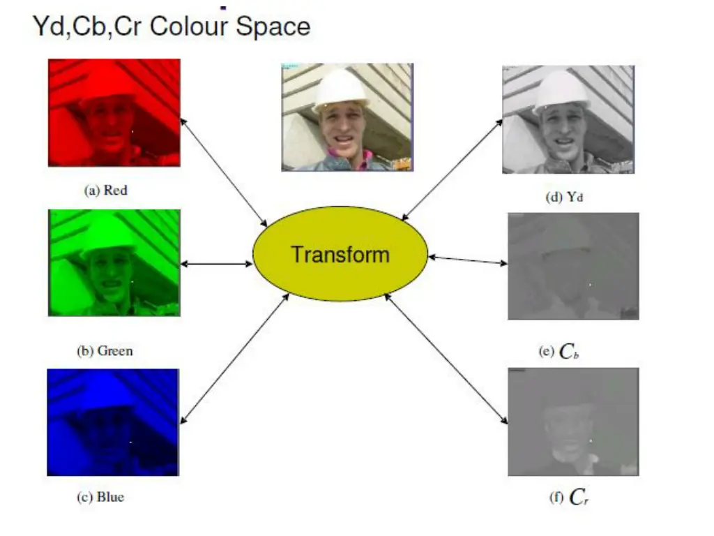 slide29