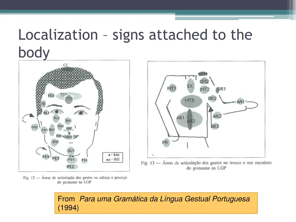 localization signs attached to the body