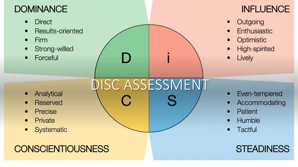 disc assessment