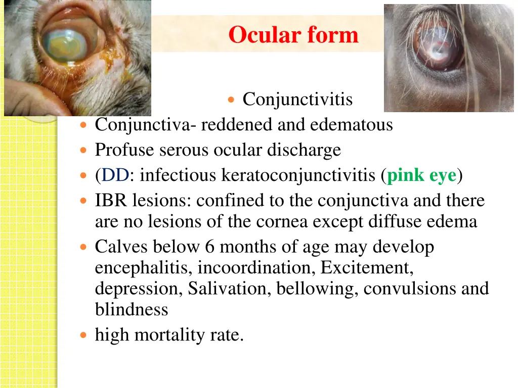 ocular form