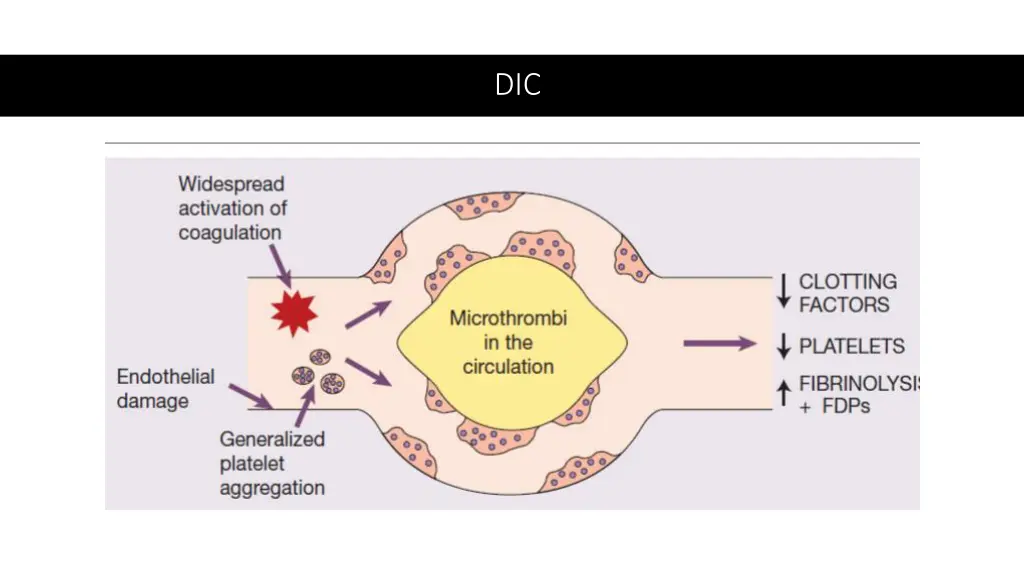 slide24