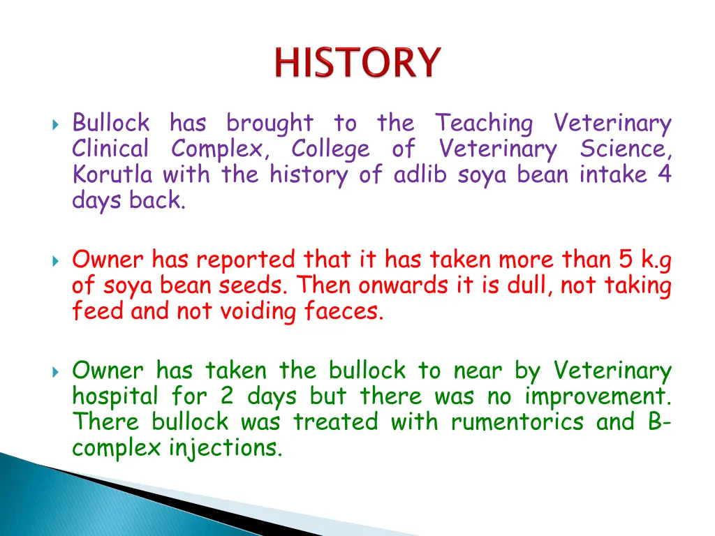 bullock has brought to the teaching veterinary
