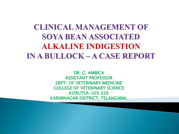 dr g ambica assistant professor dept