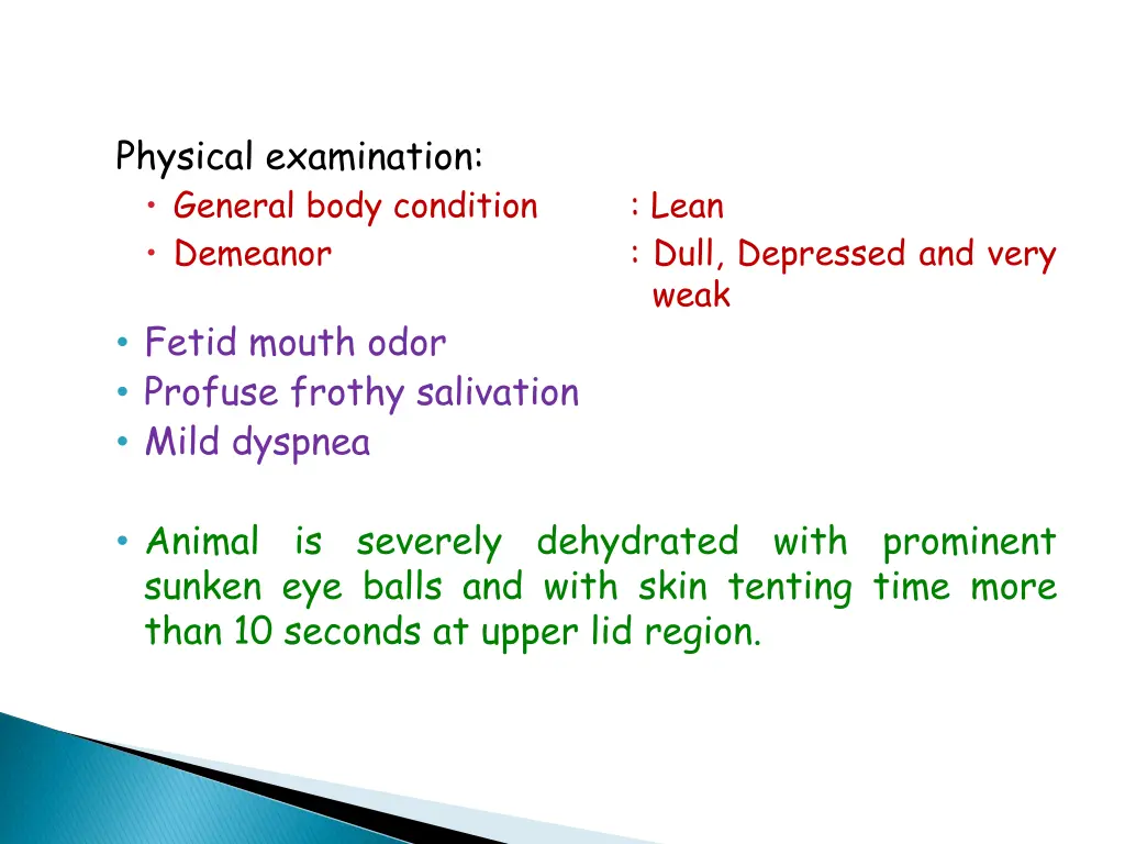 physical examination general body condition