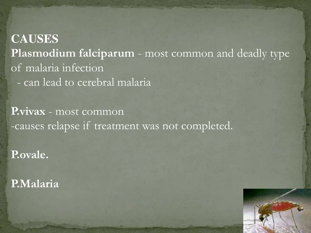 causes plasmodium falciparum most common
