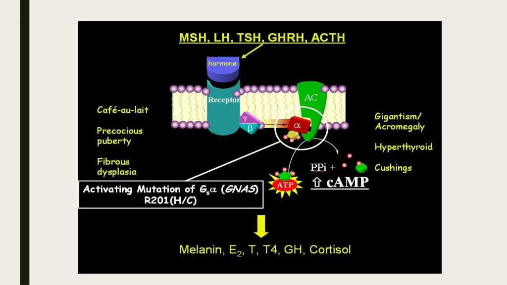slide4