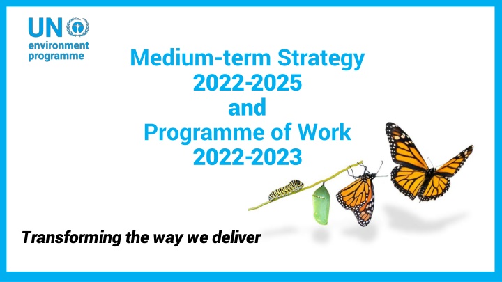 medium term strategy 2022 2025 and programme