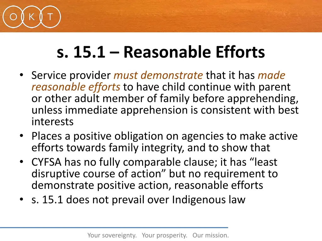 s 15 1 reasonable efforts service provider must