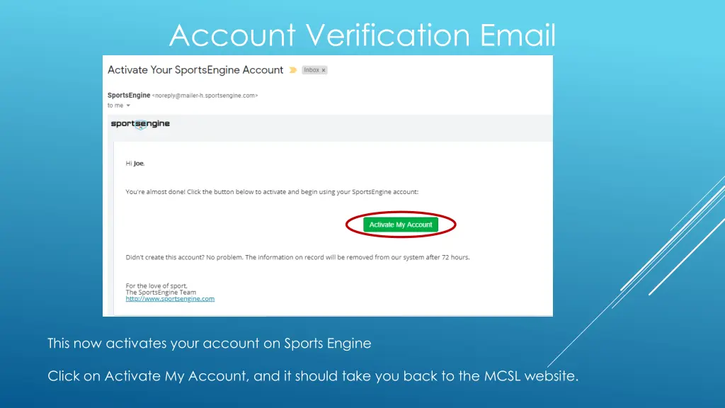 account verification email