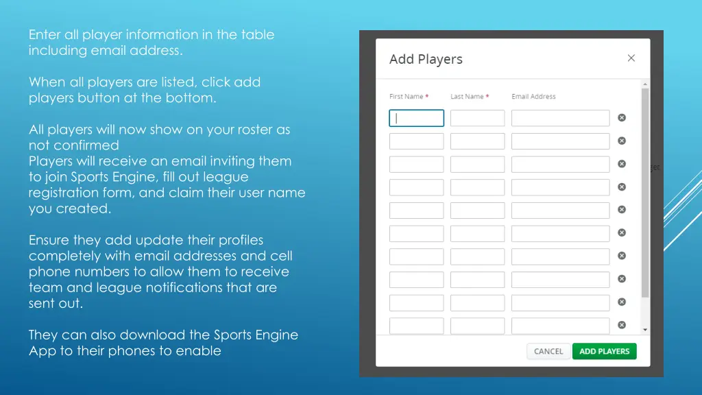 enter all player information in the table