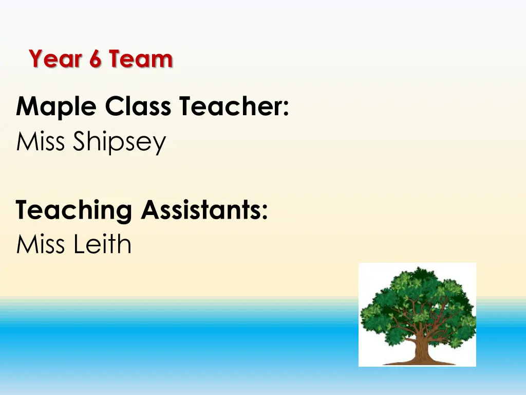 year 6 team