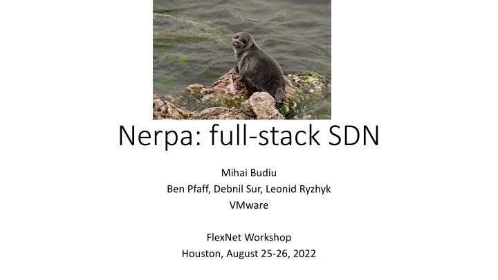 nerpa full stack sdn