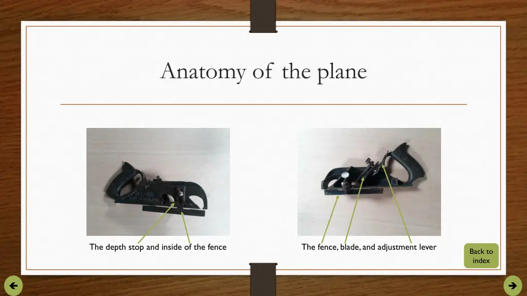 anatomy of the plane