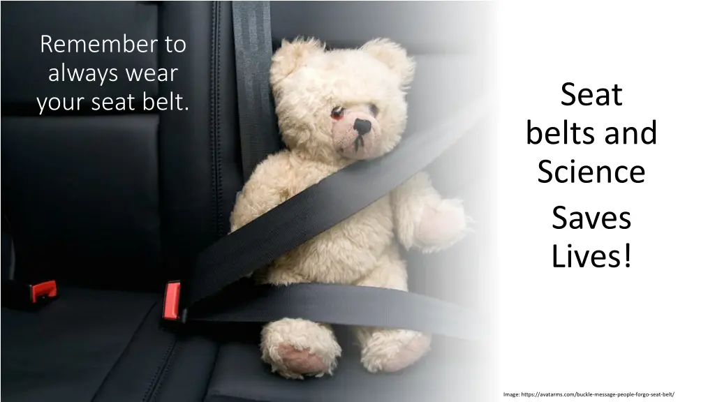 remember to always wear your seat belt