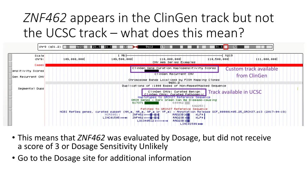 znf462 appears in the clingen track