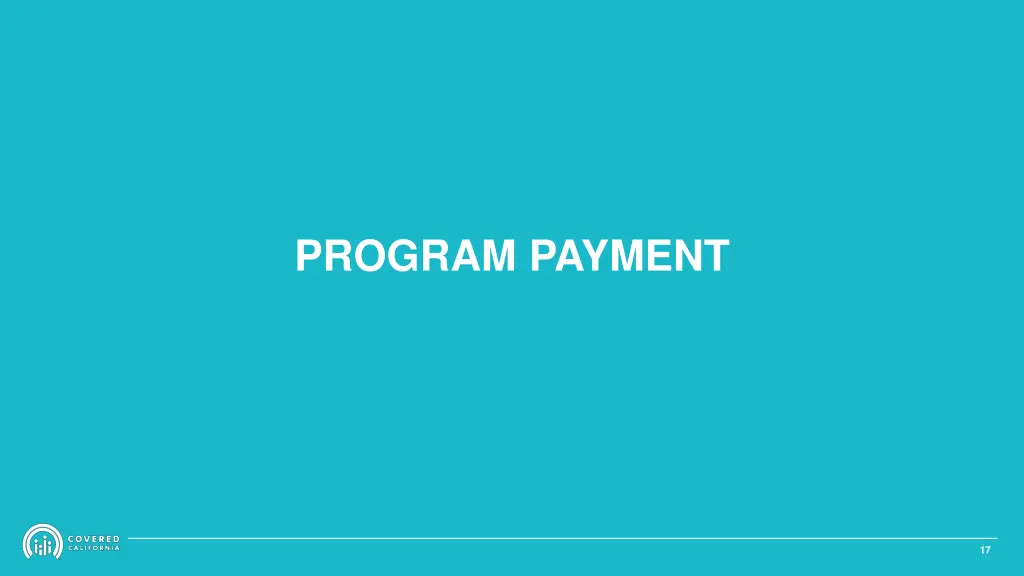 program payment