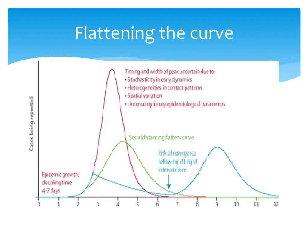 flattening the curve