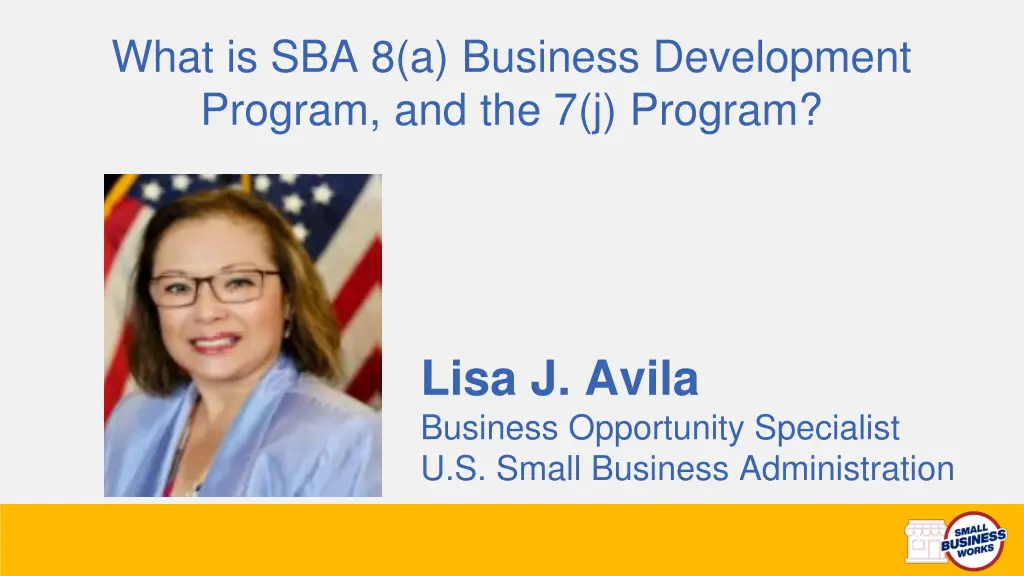 what is sba 8 a business development program