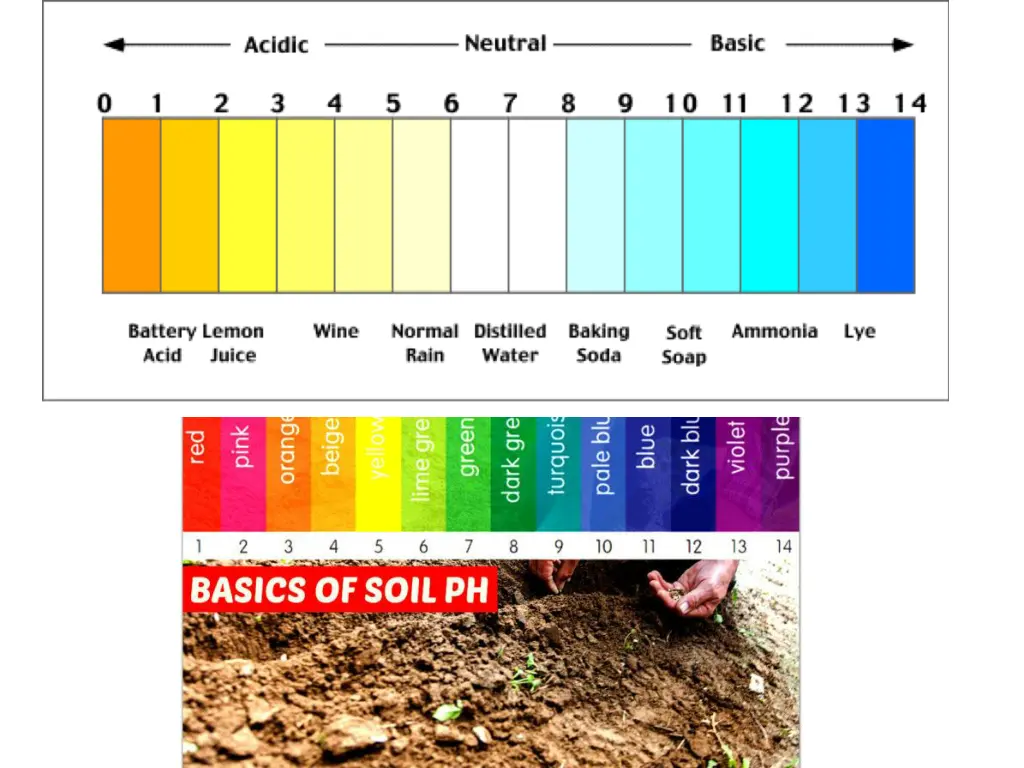 slide11