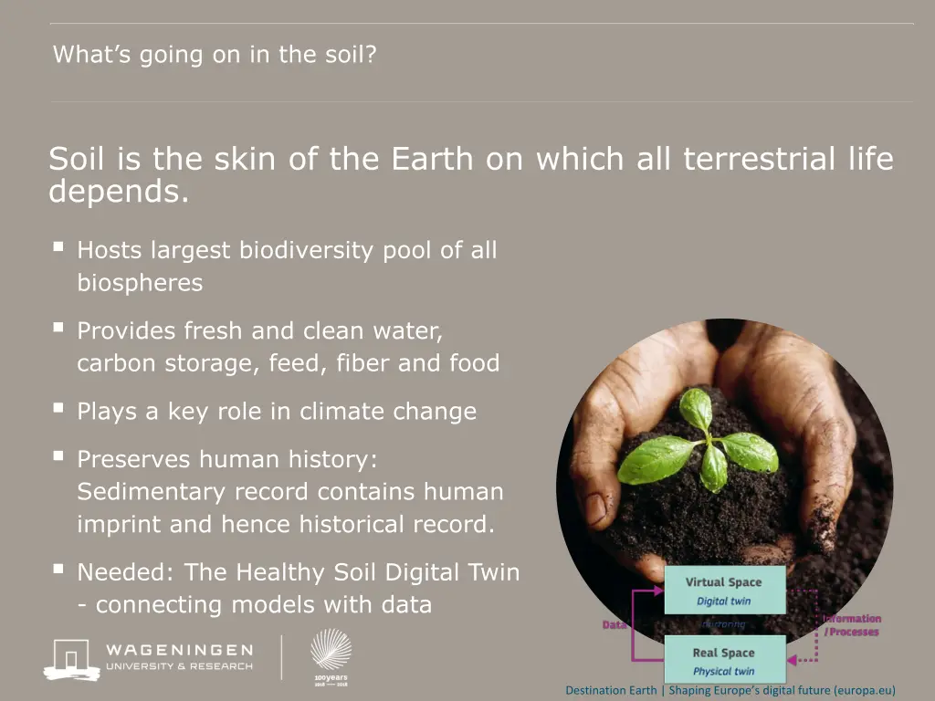 what s going on in the soil