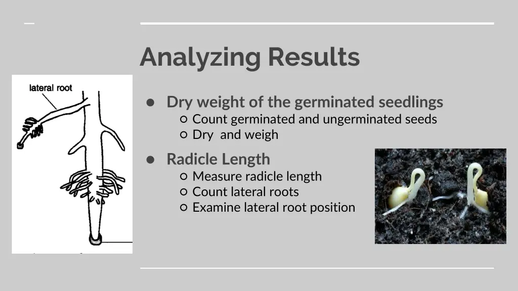 analyzing results