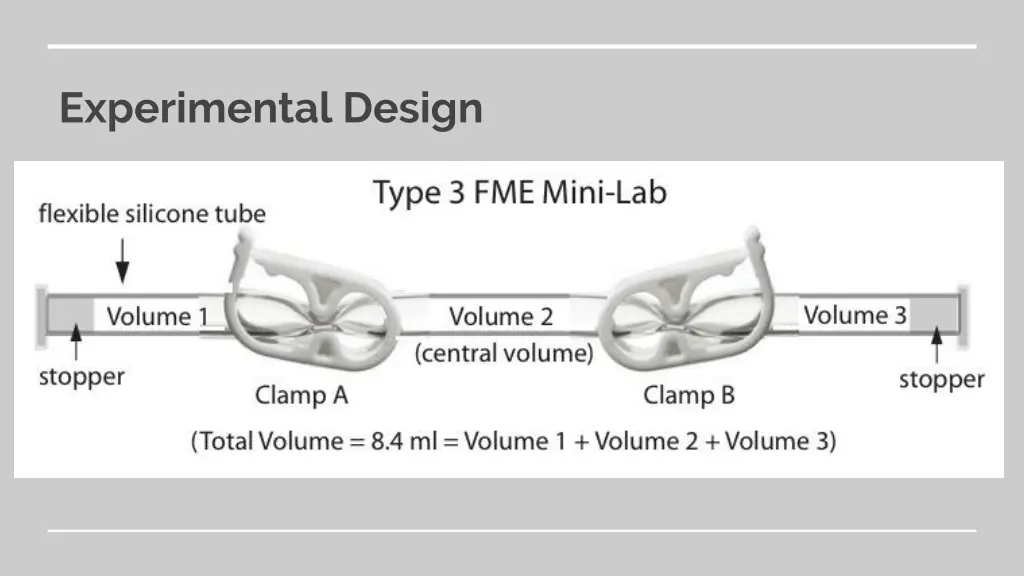 experimental design