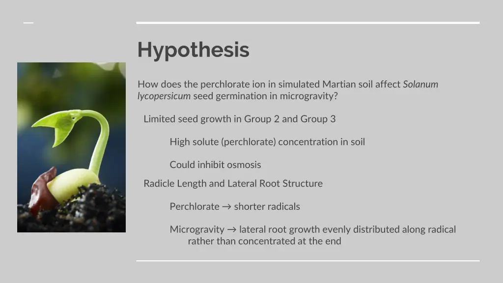 hypothesis