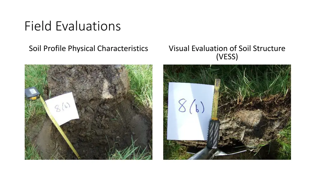 field evaluations