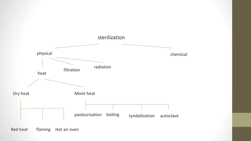 sterilization