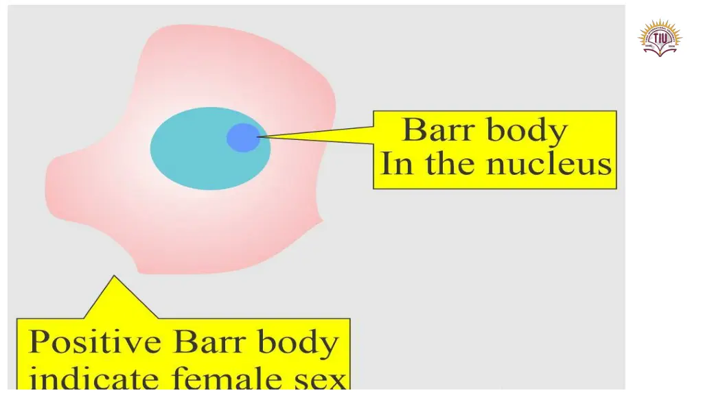 slide5