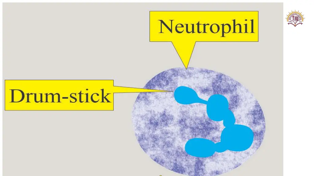 slide6