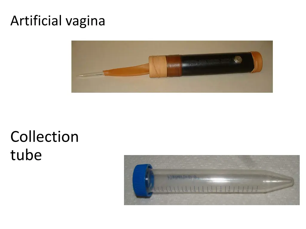 artificial vagina 1