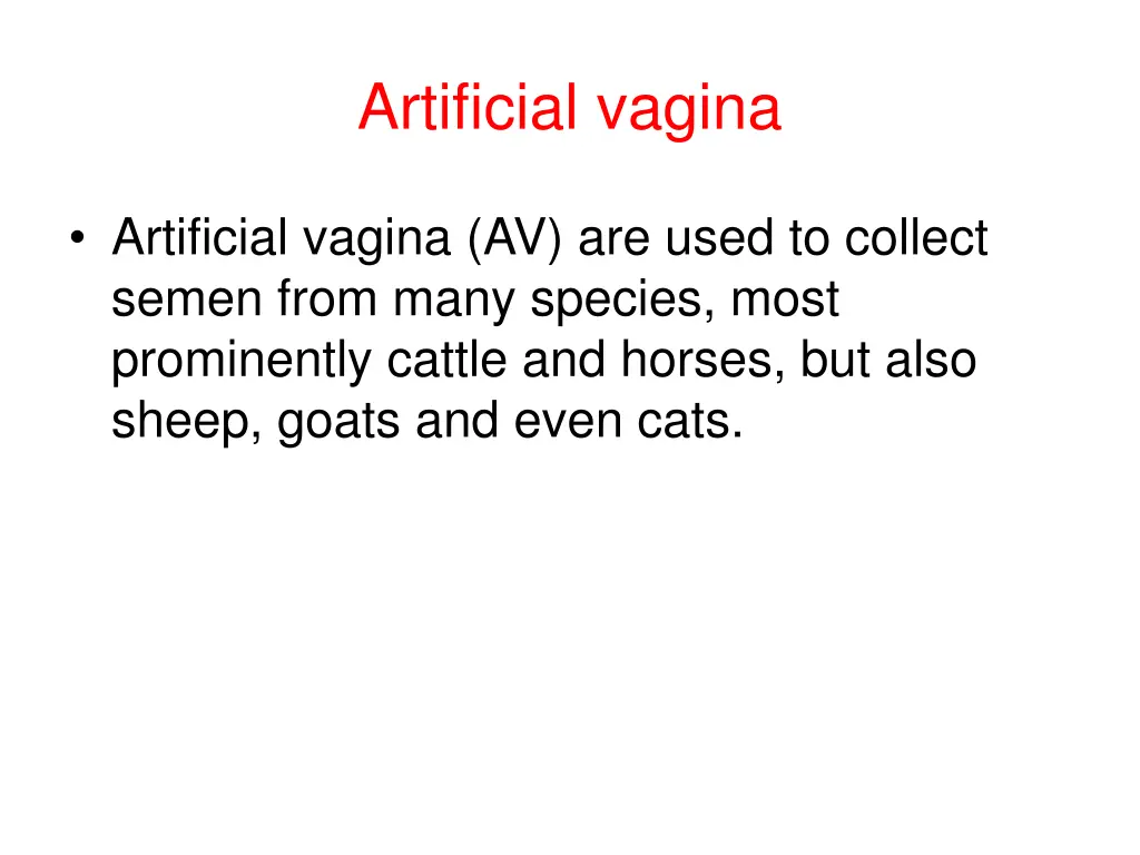 artificial vagina