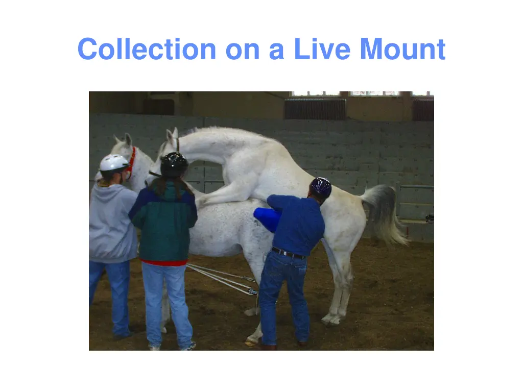 collection on a live mount