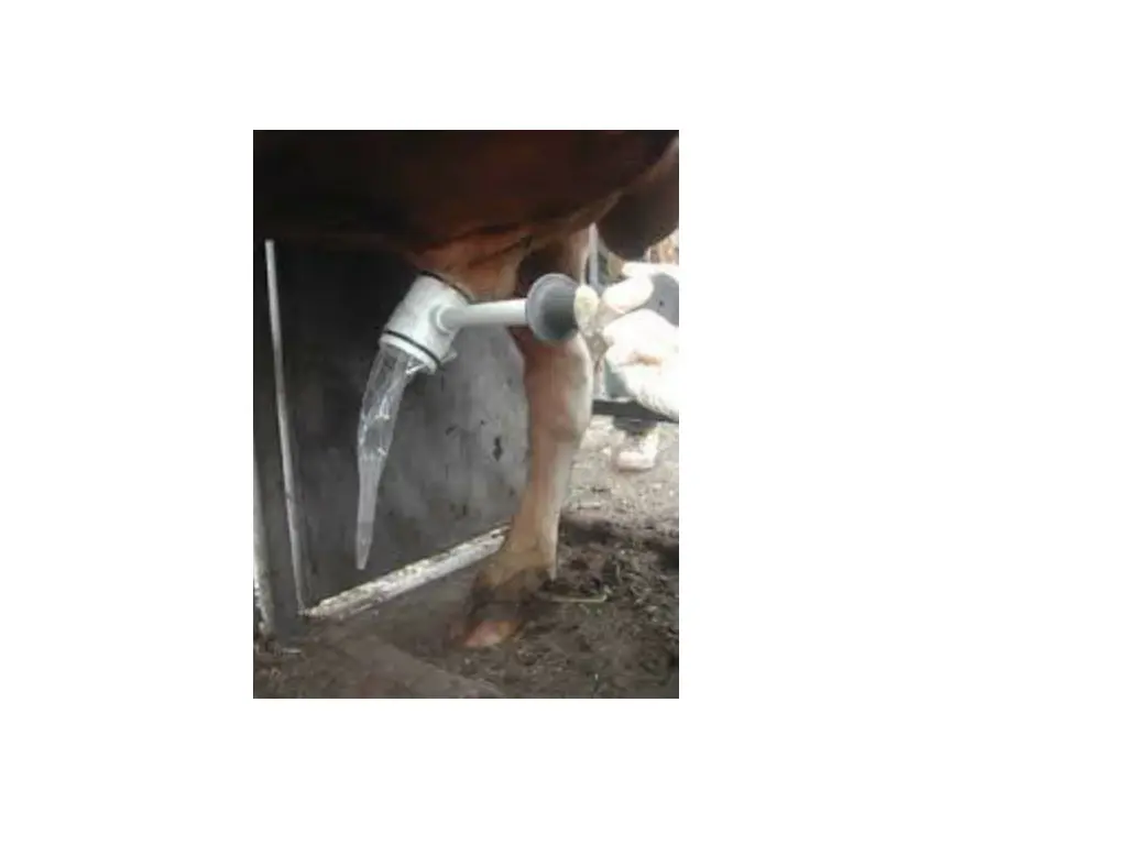 slide25