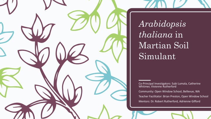 arabidopsis thaliana in martian soil simulant